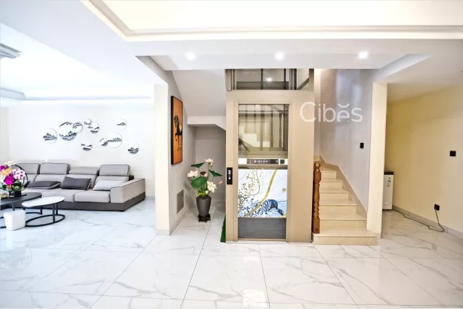 家用电梯配景第一篇章 - 大理石矿物质系列,大自然的造物师 - Cibes大发500瑞典品牌电梯